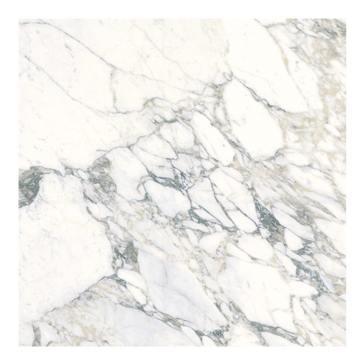 Statuary Fabuloso Marble