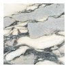 Breche-violette MBLT 154